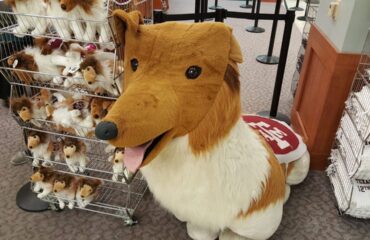 Texas A&M Reveille Stuffed Dog