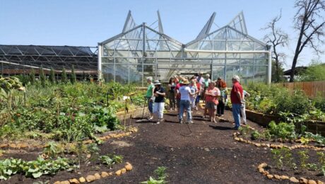 Community Gardens Vegetable Garden