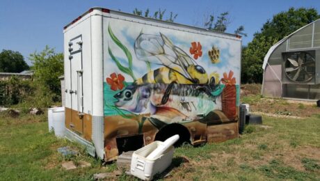 Aqua Dulce Organic Farm Graffiti Artwork