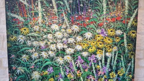 Ladybird Johnson Wildflower Center Wildflower Painting