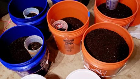 Harvested-castings-buckets