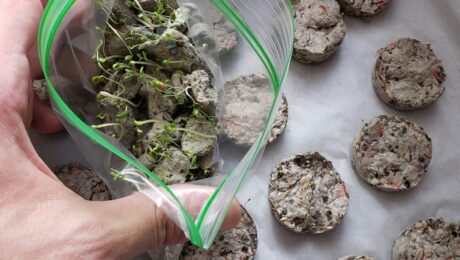 Moisture-caused-growth