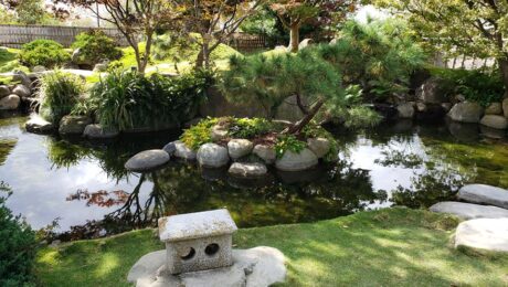 SABG-Japanese-Garden