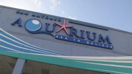 San-Antonio-Aquarium-Entrance