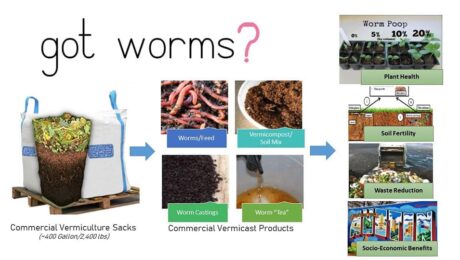 Supersack-Product-Diagram